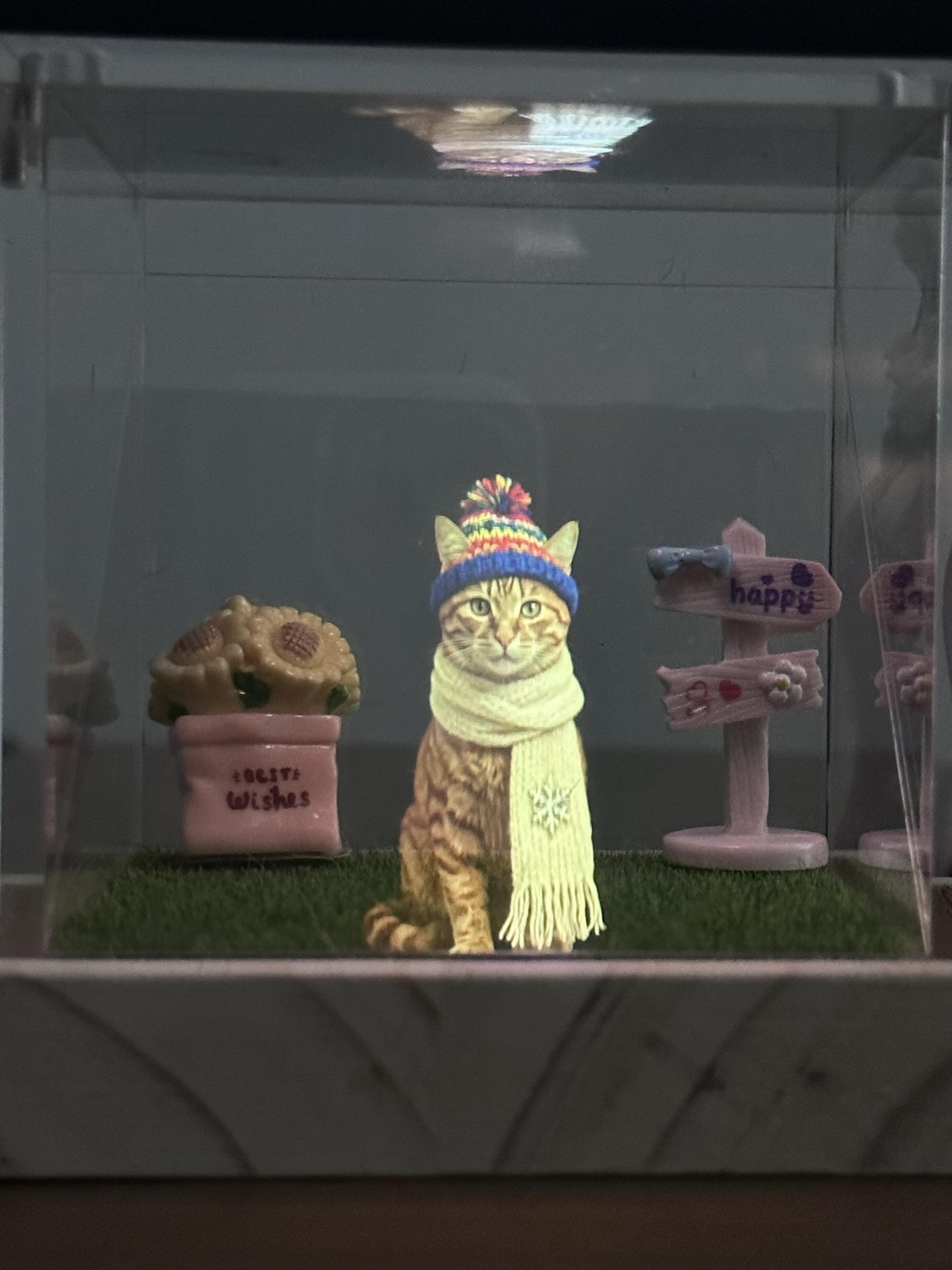 Jasper’s Back in His Winter Gear — Through Pet Hologram Keepsake